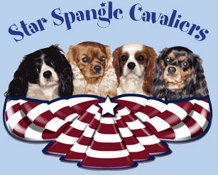 Star Spangled Cavaliers